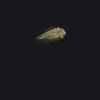 Canvas Zippered Book Tote Thumbnail